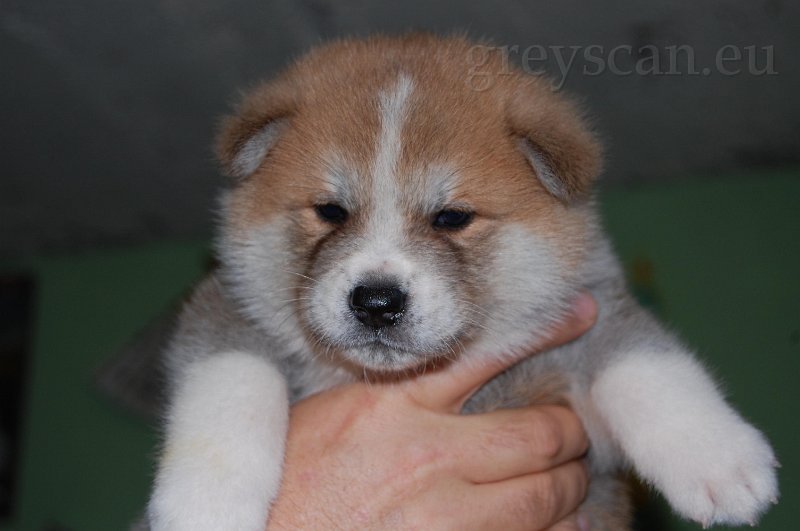 15 jsem fotogenický.jpg